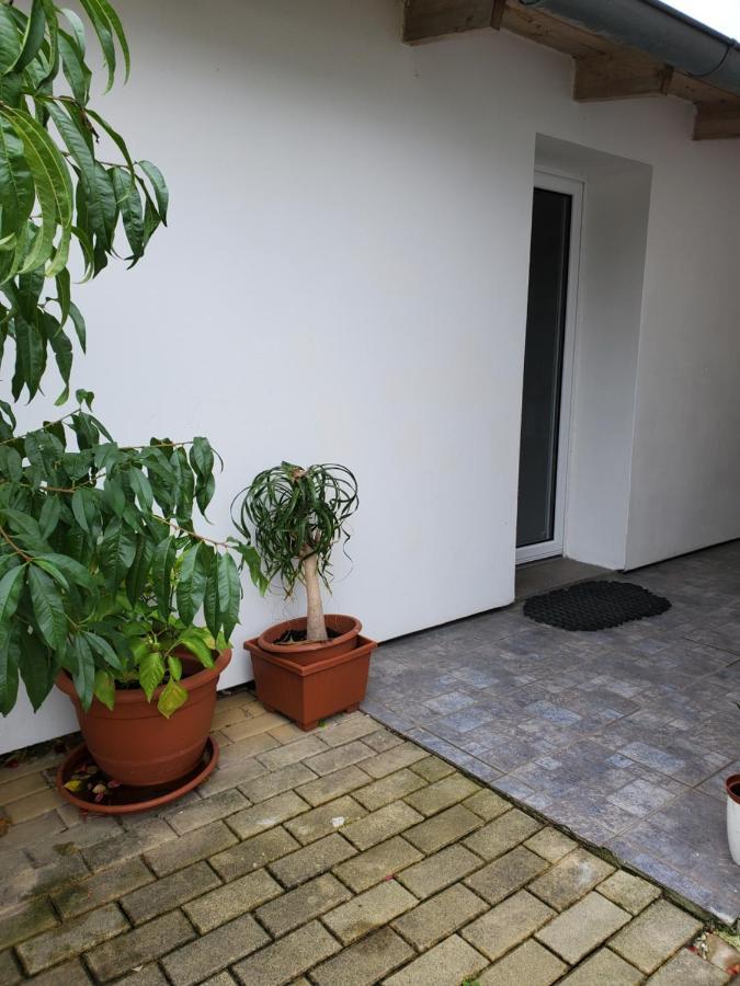 Apartman Stary Liskovec Lejlighed Brno Eksteriør billede